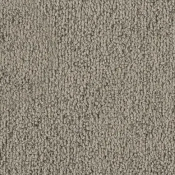 Vorwerk Safira Teppichboden Farbcode 8L37 – Draufsicht ohne Etikett